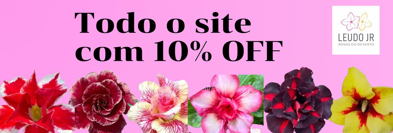 WhatsApp Image 2026-02-26 at 11.46.43